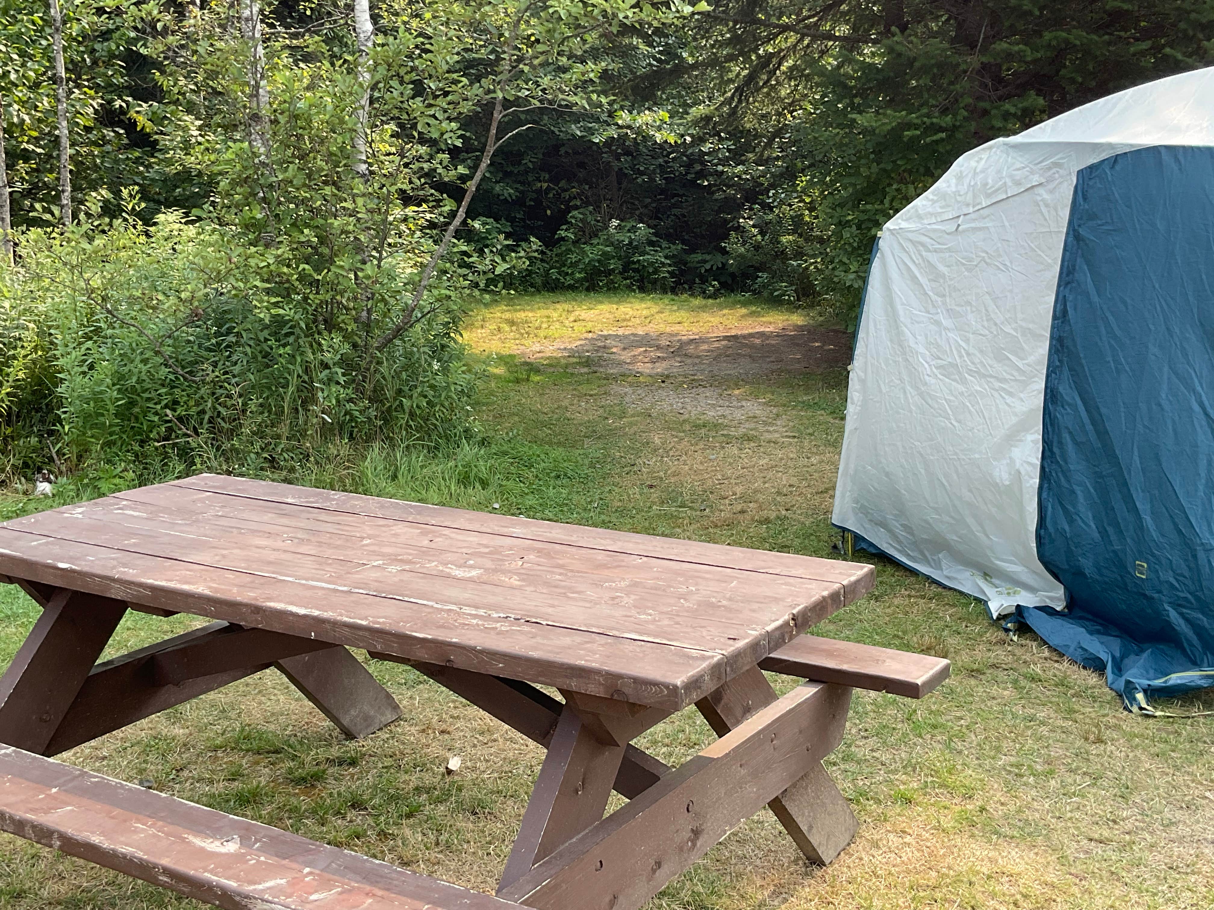 Camper-submitted photo at Nesowadnehunk Lake Wilderness Campground near Stacyville, ME