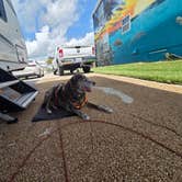 Review photo of Nettles Island Resort by Thomas B., August 25, 2026