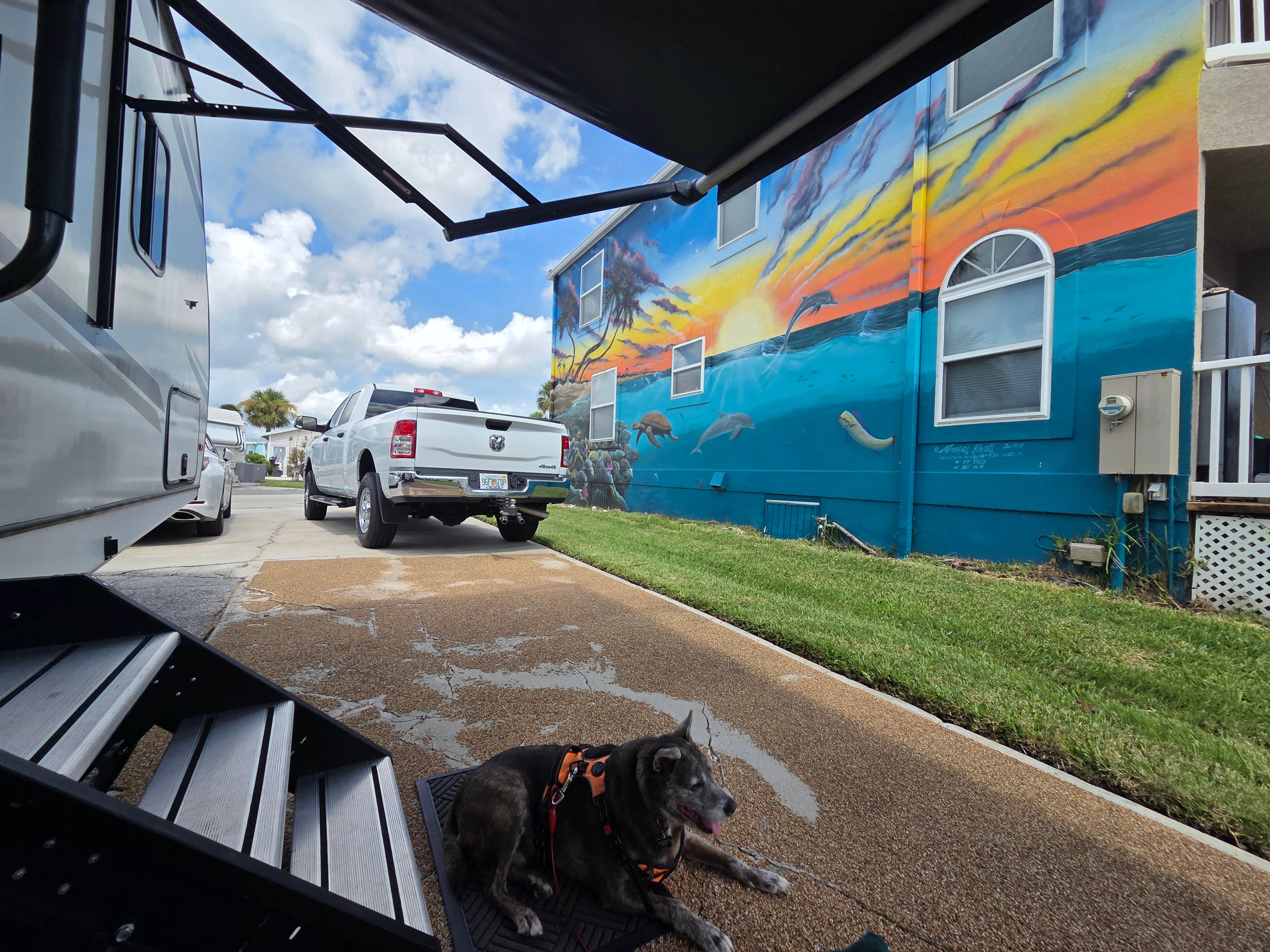 Thomas B.'s photo of camping with pets at Nettles Island Resort near Indiantown, FL