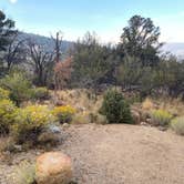 Review photo of Baker Creek Campground — Great Basin National Park by Kim G., September 10, 2024