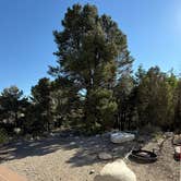 Review photo of Baker Creek Campground — Great Basin National Park by David J., July 23, 2026