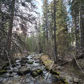Review photo of Baker Creek Campground — Great Basin National Park by Shawn S., May 10, 2026