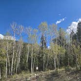 Review photo of Baker Creek Campground — Great Basin National Park by Shawn S., May 10, 2026