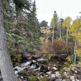 Review photo of Baker Creek Campground — Great Basin National Park by Kelly L., October 7, 2023