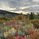 Review photo of Baker Creek Campground — Great Basin National Park by Kelly L., October 7, 2023