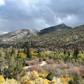 Review photo of Baker Creek Campground — Great Basin National Park by Kelly L., October 7, 2023