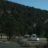 Review photo of Baker Creek Campground — Great Basin National Park by Joel R., July 8, 2026