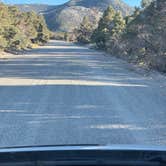 Review photo of Baker Creek Campground — Great Basin National Park by David M., September 4, 2026