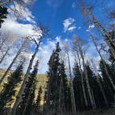 Review photo of Baker Creek Campground — Great Basin National Park by Shawn S., May 10, 2026