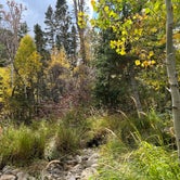 Review photo of Baker Creek Campground — Great Basin National Park by Kelly L., October 7, 2023