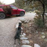 Review photo of Baker Creek Campground — Great Basin National Park by Maya G., September 17, 2024