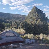 Review photo of Baker Creek Campground — Great Basin National Park by Greebly M., June 22, 2025