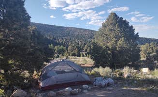 Greebly M.'s photo at Baker Creek Campground — Great Basin National Park near Garrison, UT