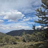 Review photo of Baker Creek Campground — Great Basin National Park by Shawn S., May 10, 2026