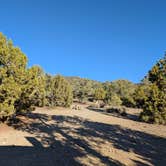 Review photo of Berlin-Ichthyosaur State Park Campground by Michael G., October 21, 2025