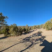 Review photo of Berlin-Ichthyosaur State Park by Michael G., October 21, 2025