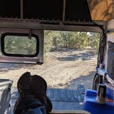 Review photo of Berlin-Ichthyosaur State Park by Michael G., October 21, 2025