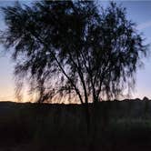 Review photo of Big Bend of the Colorado State Recreation Area by GoldDust D., June 11, 2025