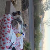 Review photo of Boulder Beach Campground — Lake Mead National Recreation Area by anne H., April 30, 2024