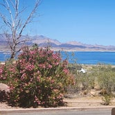 Review photo of Boulder Beach Campground — Lake Mead National Recreation Area by anne H., April 30, 2024