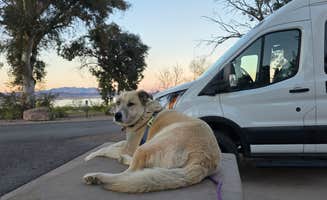 Renee T.'s photo of camping with pets at Boulder Beach Campground — Lake Mead National Recreation Area near Overton, NV
