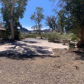 Review photo of Boulder Beach Campground — Lake Mead National Recreation Area by Beverley G., April 23, 2026