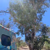 Review photo of Boulder Beach Campground — Lake Mead National Recreation Area by Beverley G., April 23, 2026