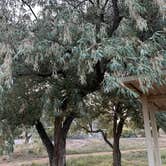 Review photo of Cathedral Gorge State Park Campground by Kelly L., October 7, 2023