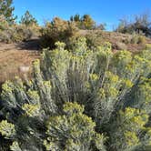 Review photo of Cathedral Gorge State Park Campground by Kelly L., October 7, 2023