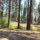 Review photo of Davis Creek Regional Park by Sabrina D., July 19, 2024