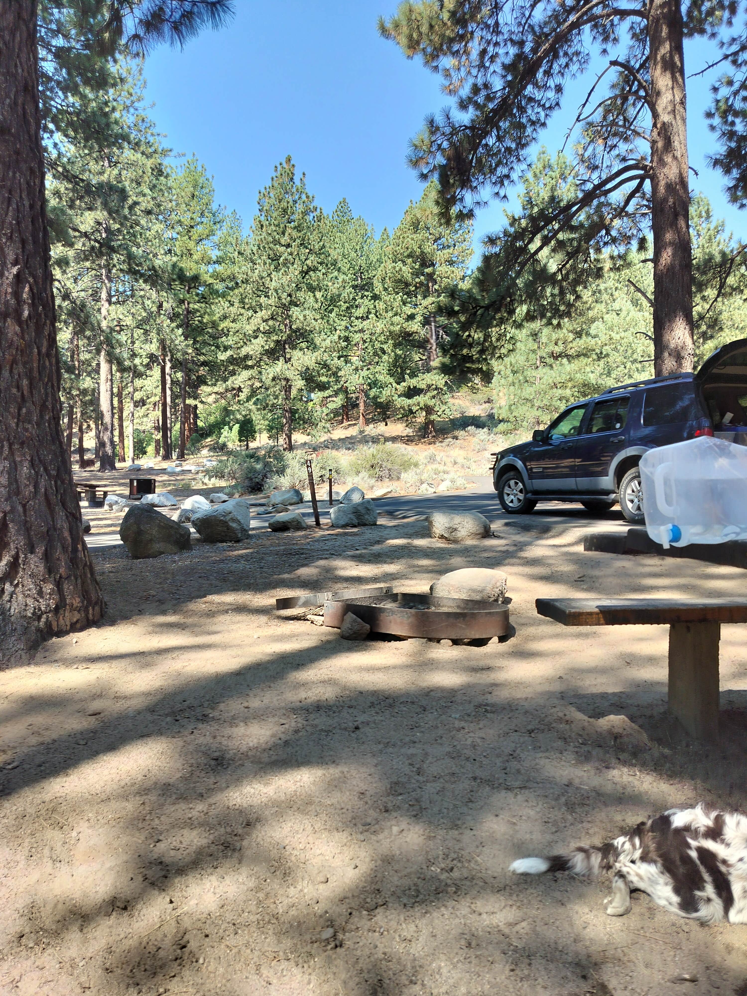 Camper-submitted photo at Davis Creek Regional Park near Virginia City, NV