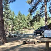 Review photo of Davis Creek Regional Park by Sabrina D., July 19, 2024