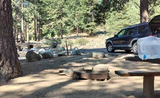 Sabrina D.'s photo of camping with pets at Davis Creek Regional Park near Carson City, NV