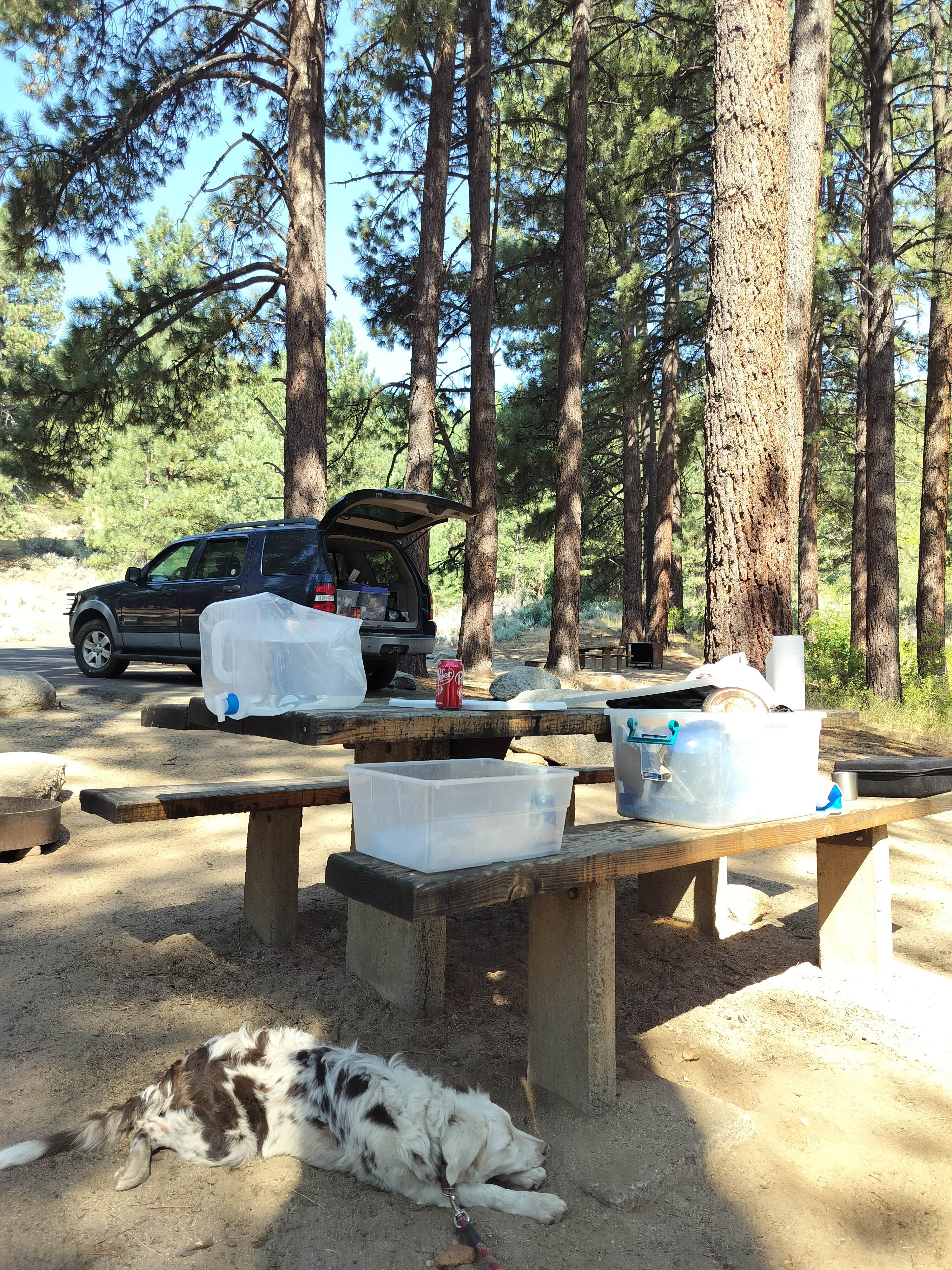 Camper-submitted photo at Davis Creek Regional Park near Virginia City, NV