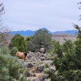 Review photo of Hickison Petroglyph by Laura S., September 17, 2026