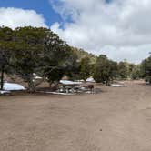 Review photo of Hickison Petroglyph by Bradley B., April 3, 2025