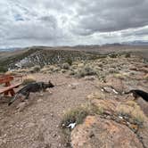 Review photo of Hickison Petroglyph by Bradley B., April 3, 2025