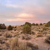 Review photo of Hickison Petroglyph by Alexandria C., July 16, 2025