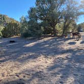 Review photo of Hickison Petroglyph by tom S., October 16, 2026