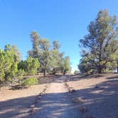 Review photo of Hickison Petroglyph by Amber , August 15, 2024