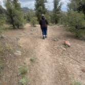 Review photo of Hickison Petroglyph by Tim W., May 5, 2026