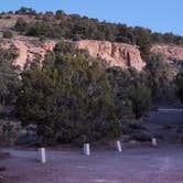 Review photo of Hickison Petroglyph by Laura S., September 17, 2026