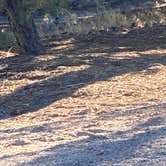 Review photo of Hickison Petroglyph by tom S., October 16, 2026