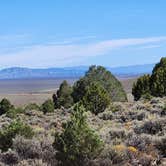 Review photo of Hickison Petroglyph by Laura S., September 17, 2026