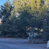 Review photo of Hickison Petroglyph by Laura S., September 17, 2026