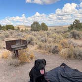 Review photo of Hickison Petroglyph by Meredith M., September 28, 2026