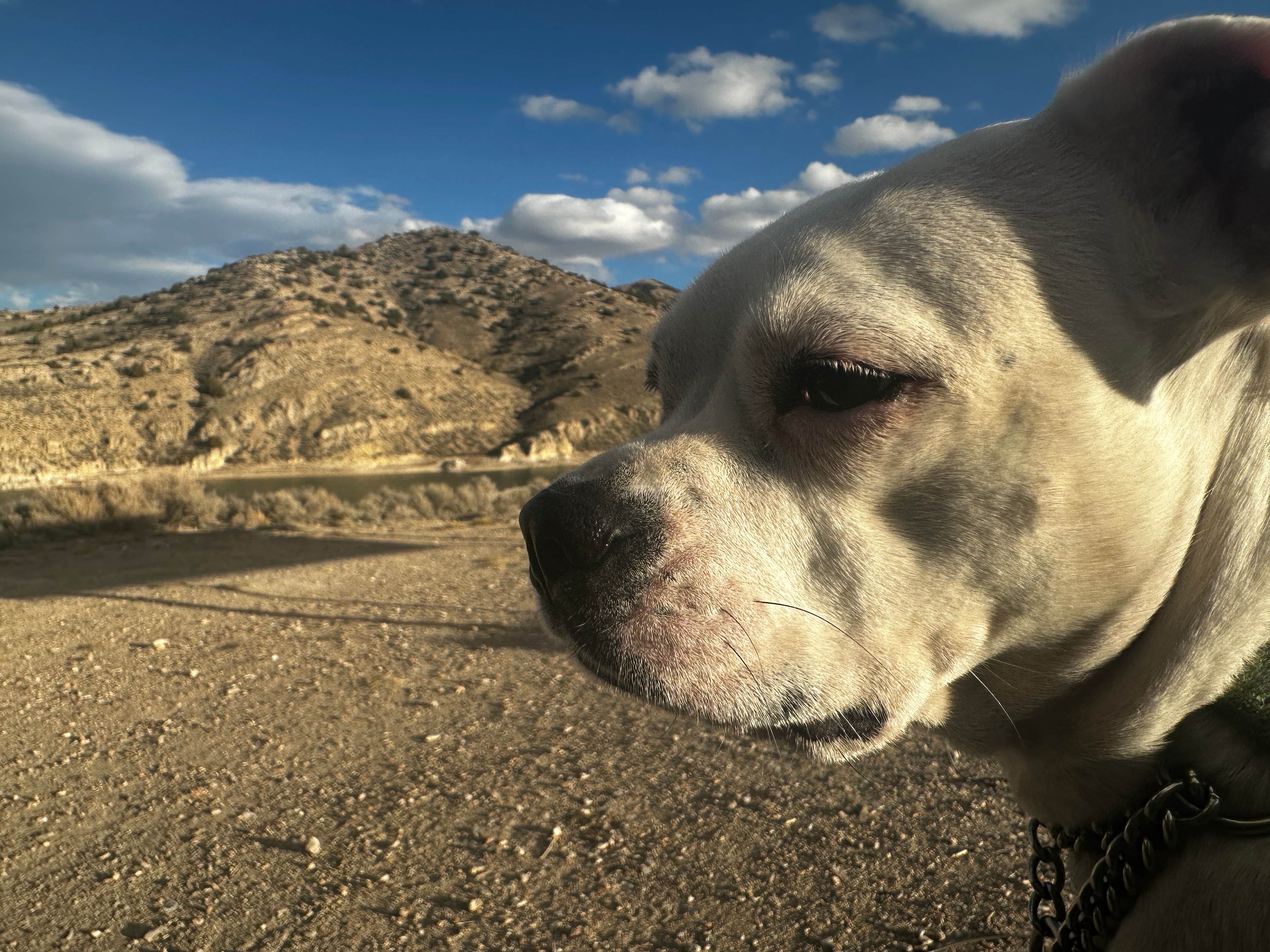 Camper-submitted photo at Illipah Reservoir Recreation Area near Duckwater, NV