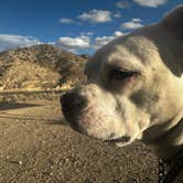 Review photo of Illipah Reservoir Recreation Area by Patricia I., November 14, 2025