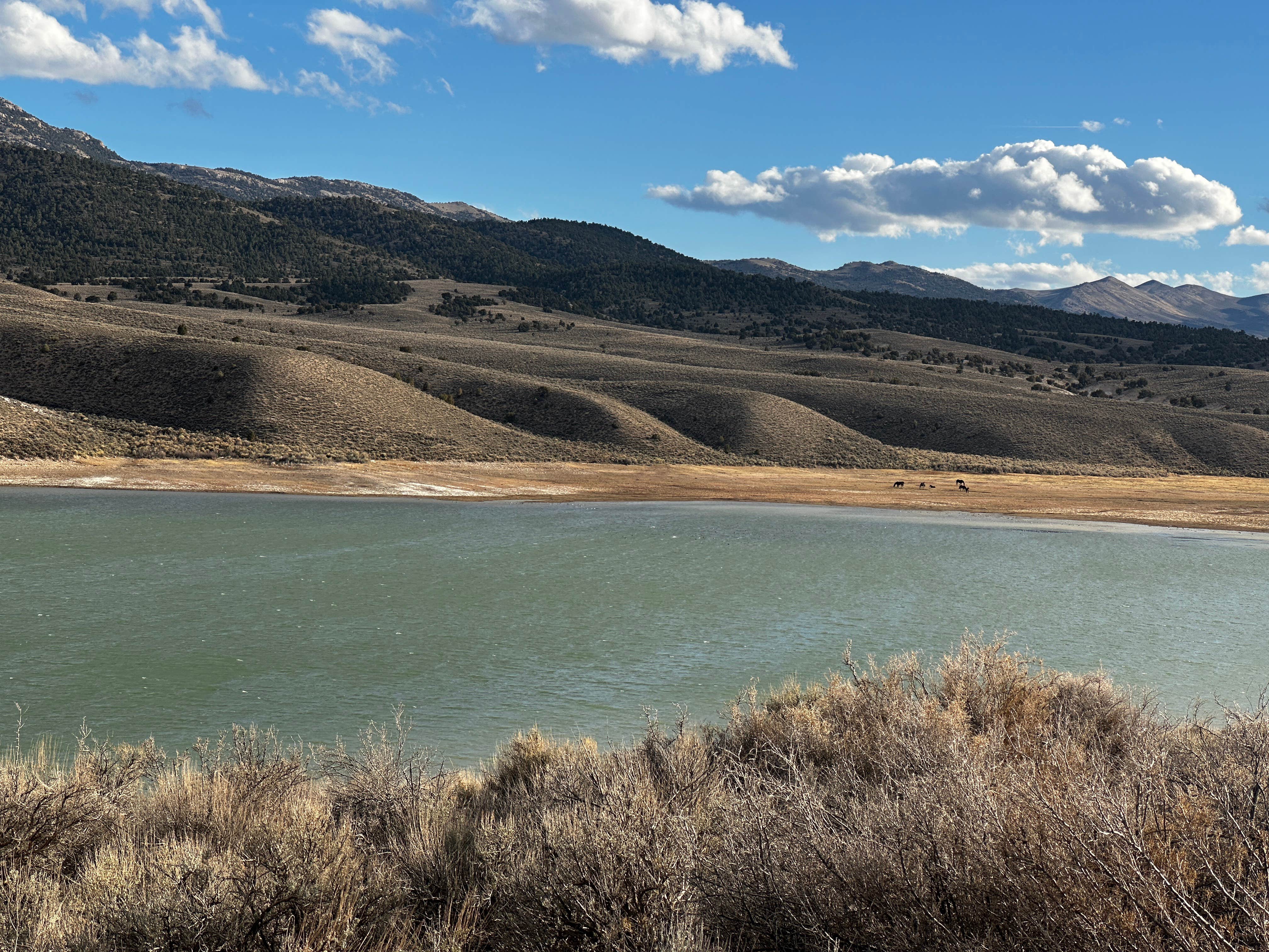 Camper-submitted photo at Illipah Reservoir Recreation Area near Duckwater, NV