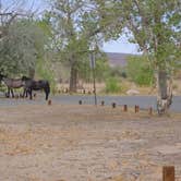 Review photo of Developed 7 — Lahontan State Recreation Area by Daniel E., August 19, 2026